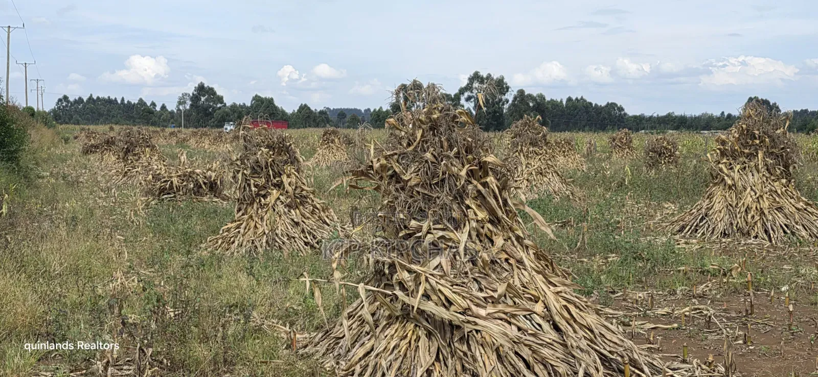 2.5 Acres Touching Highway Cheptiret Eldoret