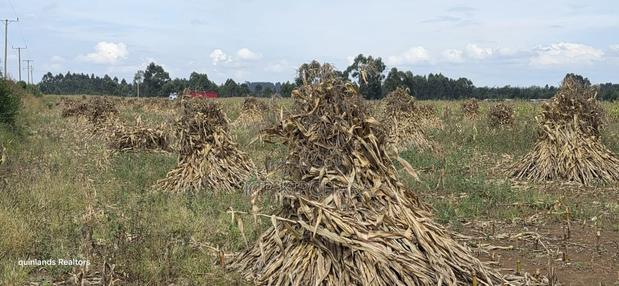 2.5 Acres Touching Highway Cheptiret Eldoret - thumbnail 2
