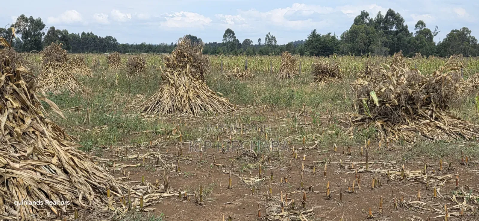 2.5 Acres Touching Highway Cheptiret Eldoret