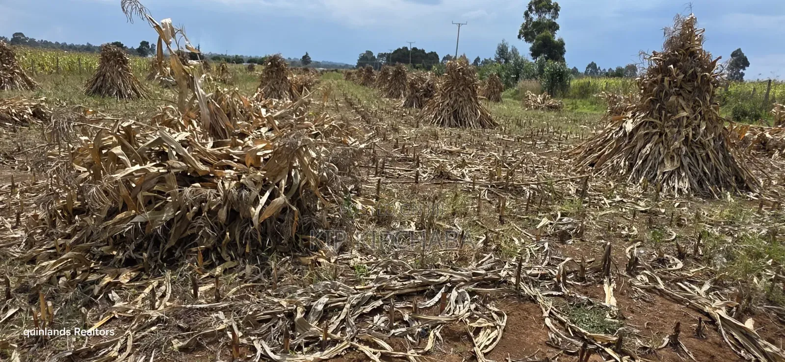 2.5 Acres Touching Highway Cheptiret Eldoret