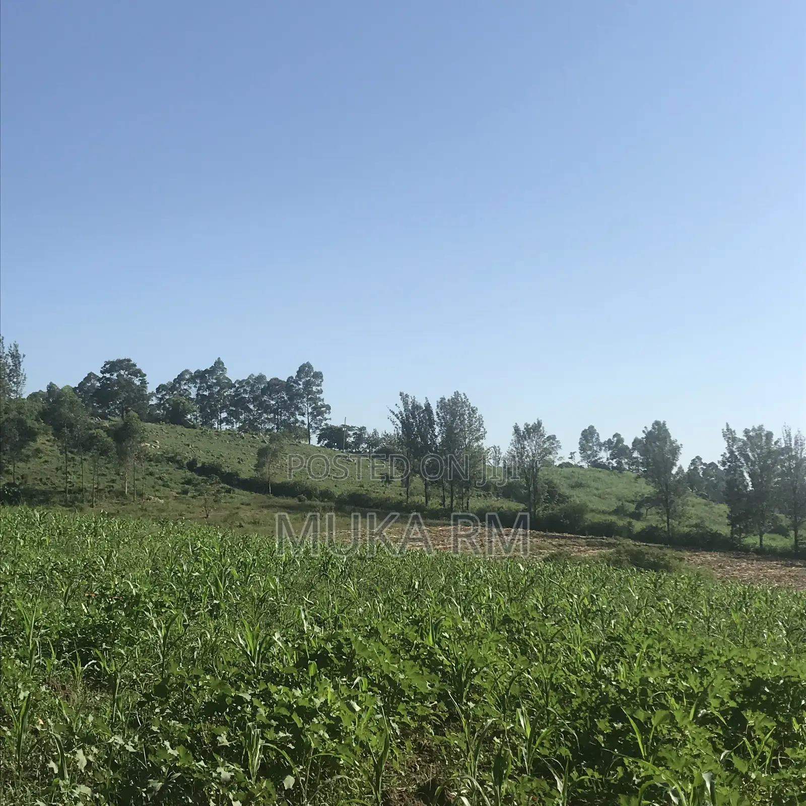Prime Land for Sale - Kakamega/Mumias RD