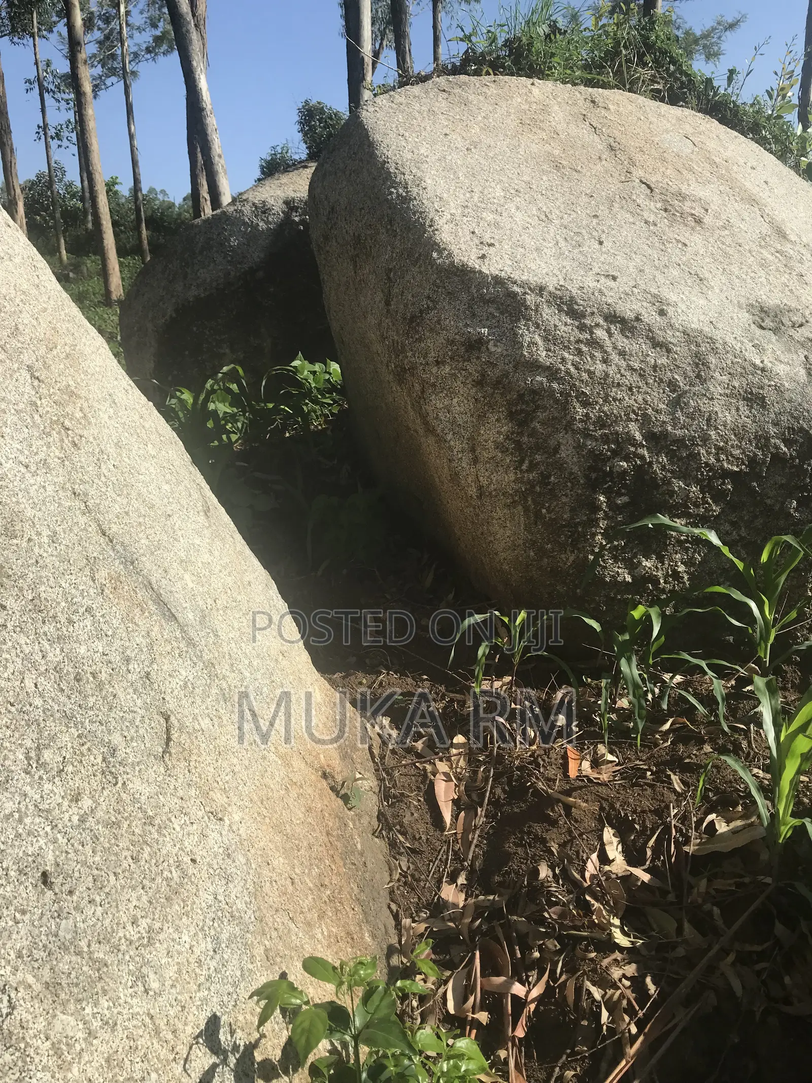 Prime Land for Sale - Kakamega/Mumias RD