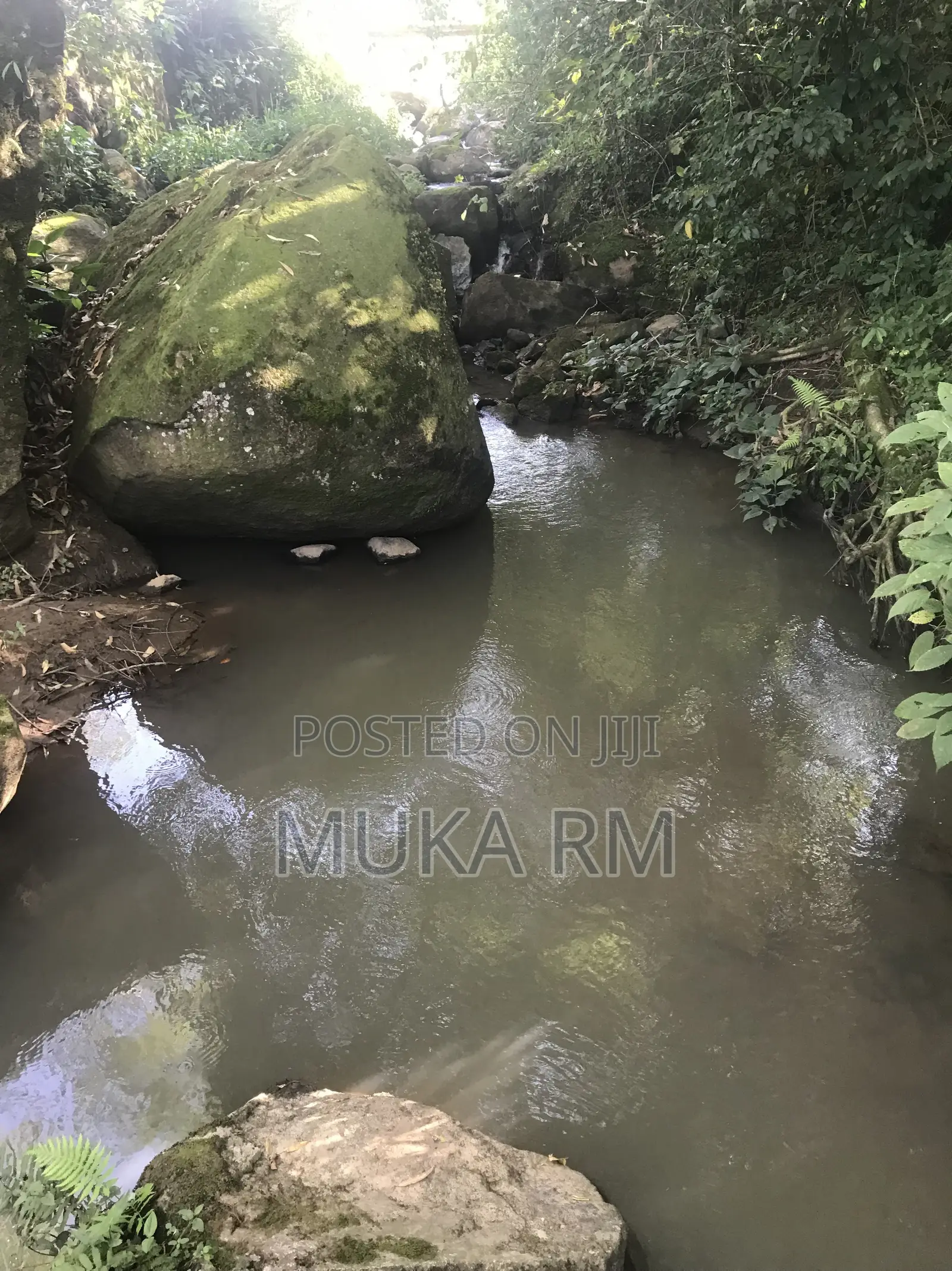 Prime Land for Sale - Kakamega/Mumias RD