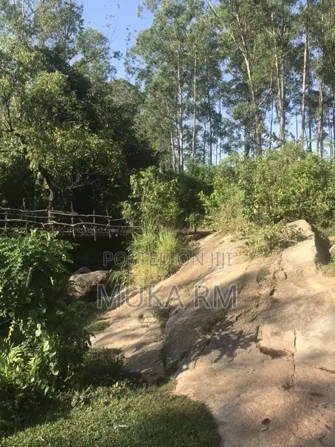 Prime Land for Sale - Kakamega/Mumias RD