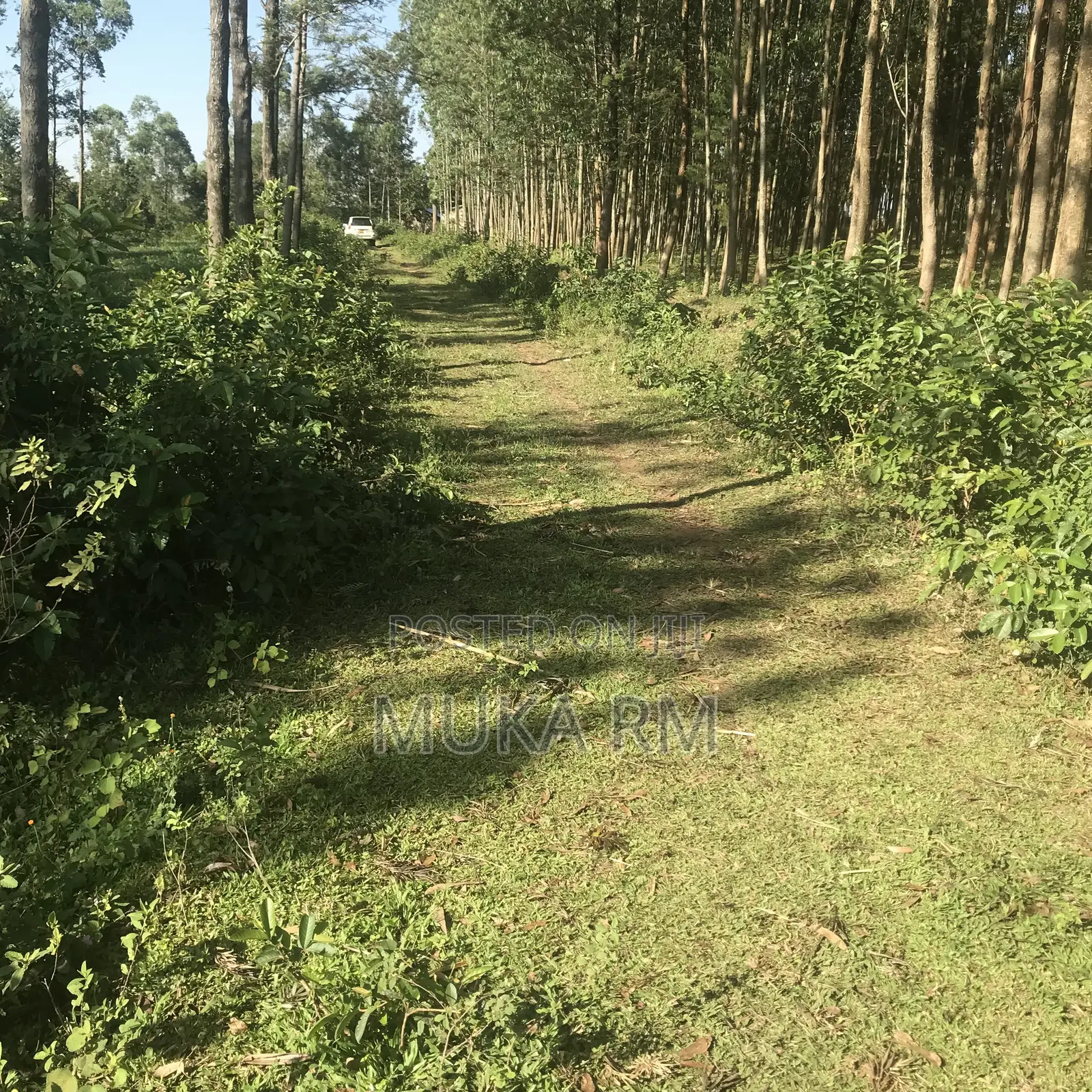 Prime Land for Sale - Kakamega/Mumias RD