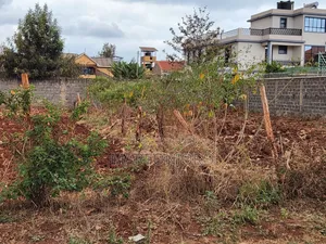 50by 100 Tola Ngoigwa Estate