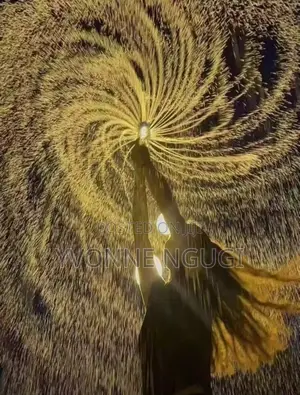 Fireworks Water Gun