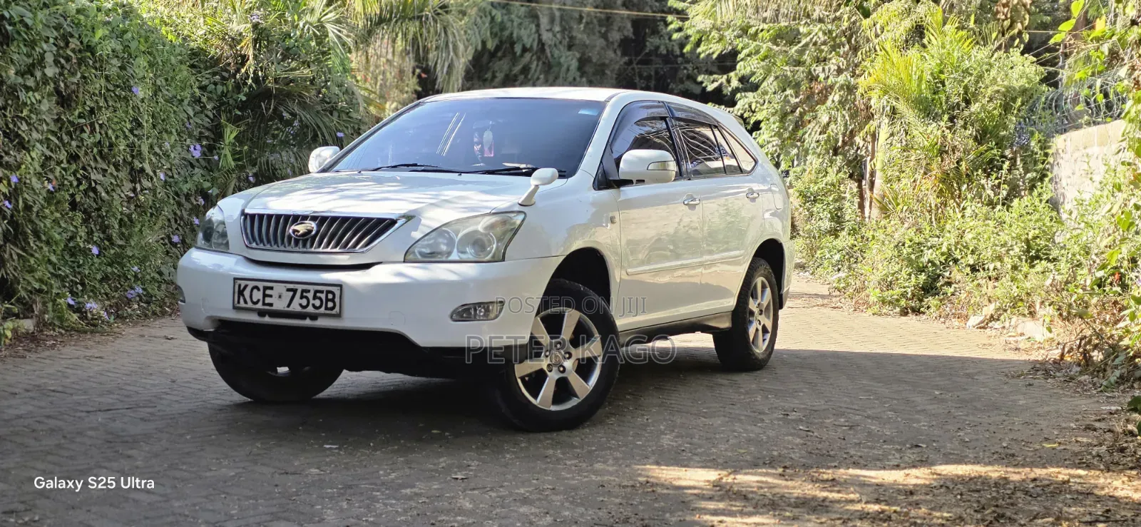 Toyota Harrier 2009 Pearl