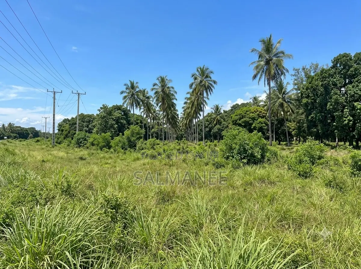 Plot for Sale