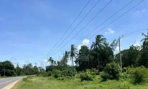 Plot for Sale