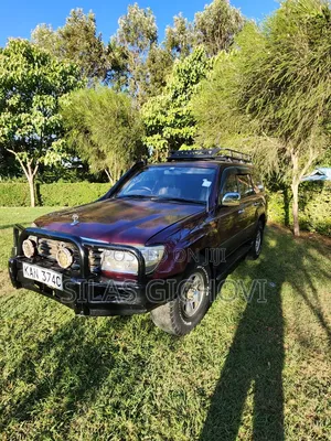 Toyota Land Cruiser Pickup 4.2D 2007 Purple