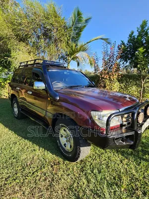 Toyota Land Cruiser Pickup 4.2D 2007 Purple
