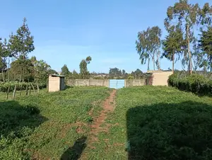 50 X 100 in Kimende