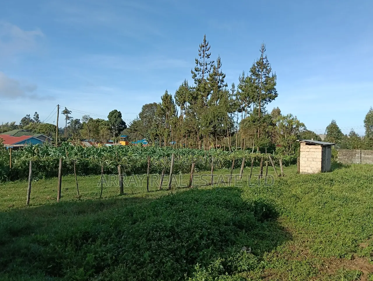 50 X 100 in Kimende