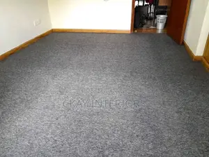 Cozy Floor, Cozy Transformation With Delta 4mm Wall to Wall Carpet