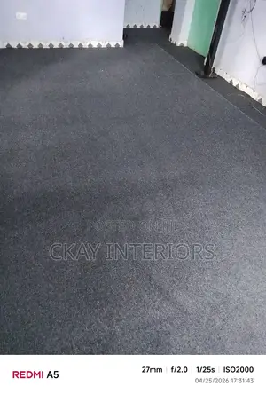 Delta Grey Wall-to-Wall Carpet for Everyday Comfort.