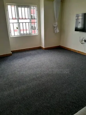 Delta Grey Wall-to-Wall Carpet for Everyday Comfort.