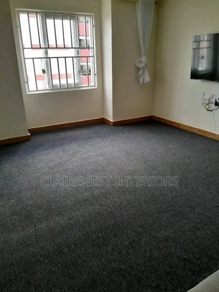 Delta Grey Wall-to-Wall Carpet for Everyday Comfort.