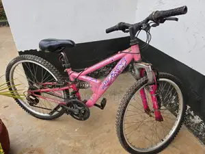 Apollo 24" Mountain Bike – Pink