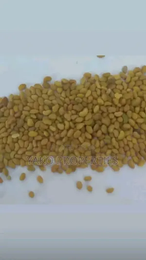 Lucern Seeds