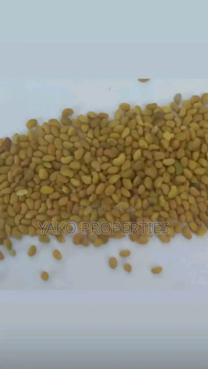 Lucern Seeds