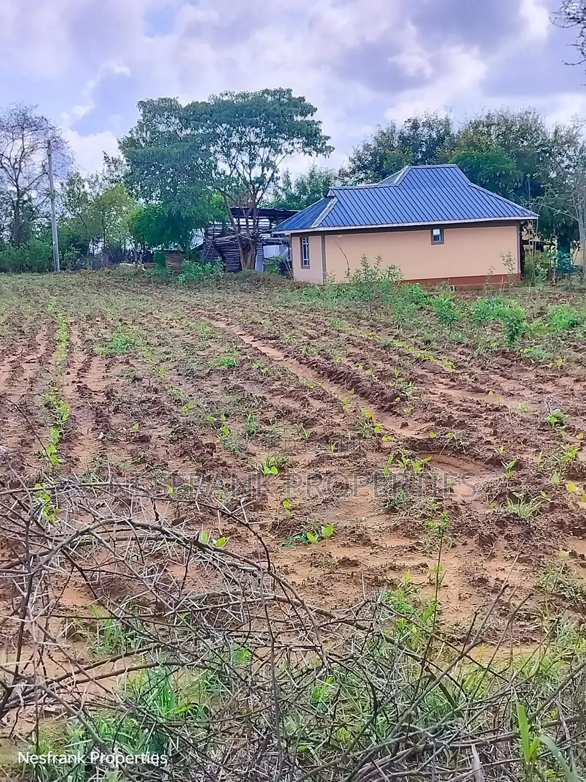 Plots for Sale in Matuu Kaewa Masinga Size 50*100