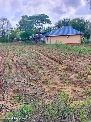 Plots for Sale in Matuu Kaewa Masinga Size 50*100