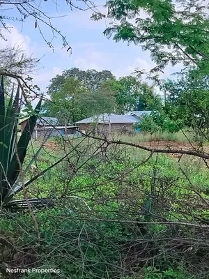 Plots for Sale in Matuu Kaewa Masinga Size 50*100
