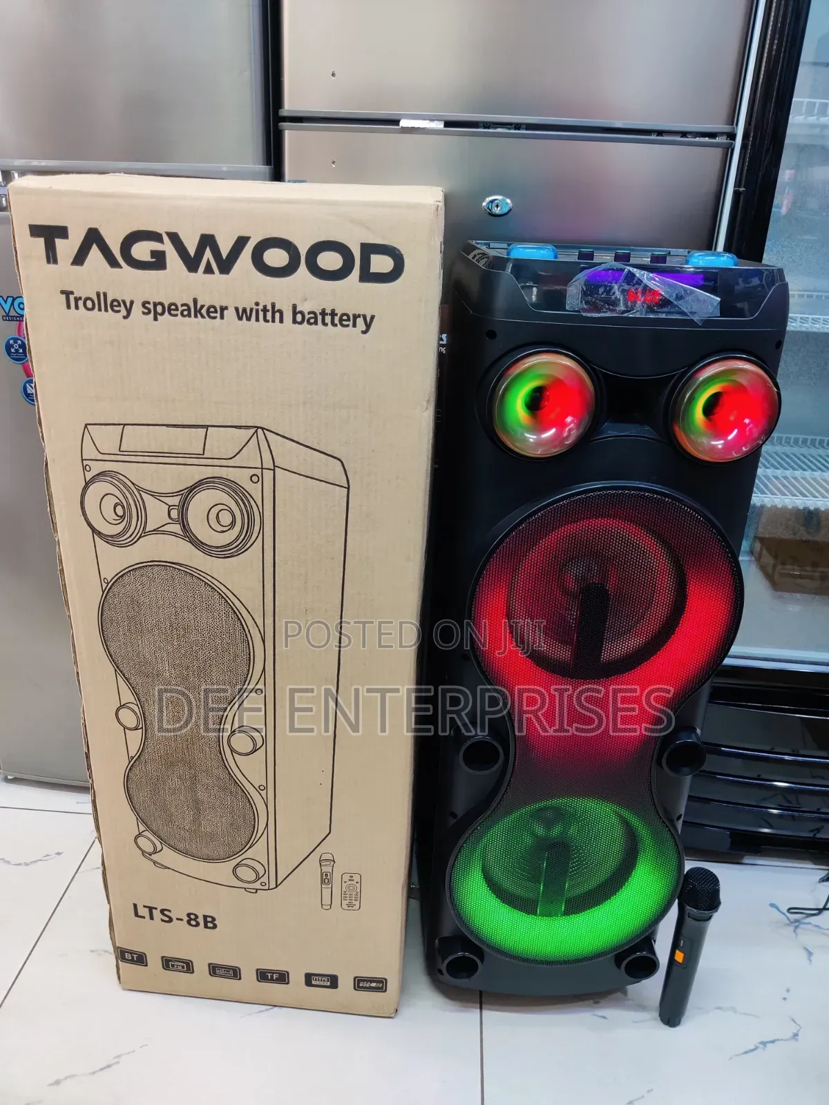 Tagwood Rechargeable Party Box With Microphone and Remote
