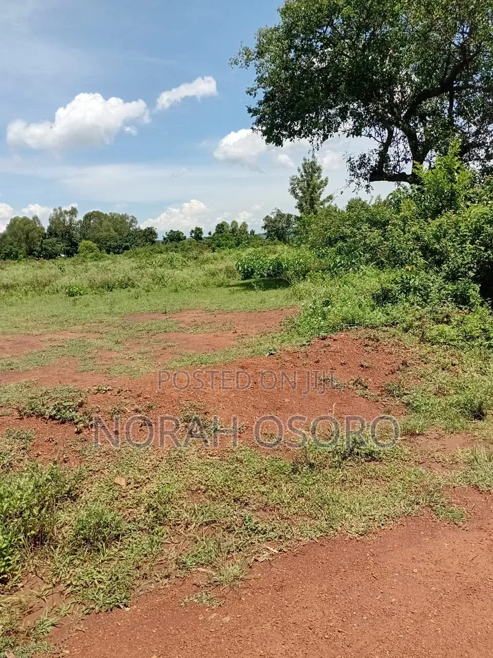 Prime Land Bondo
