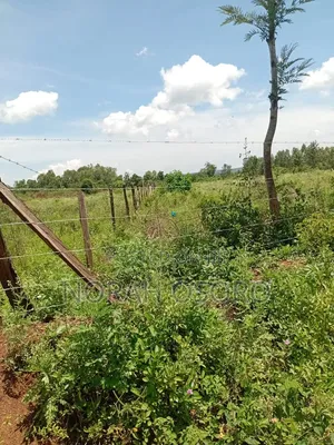 Prime Land Bondo