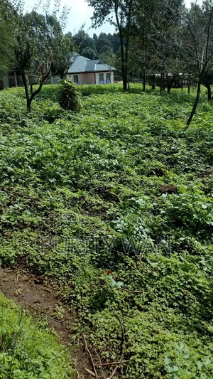 5bdrm Bungalow in Near Githunguri, Karau for sale