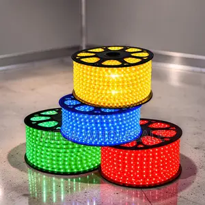 Flexible Length 50Meter Outdoor Snake Light With Connector