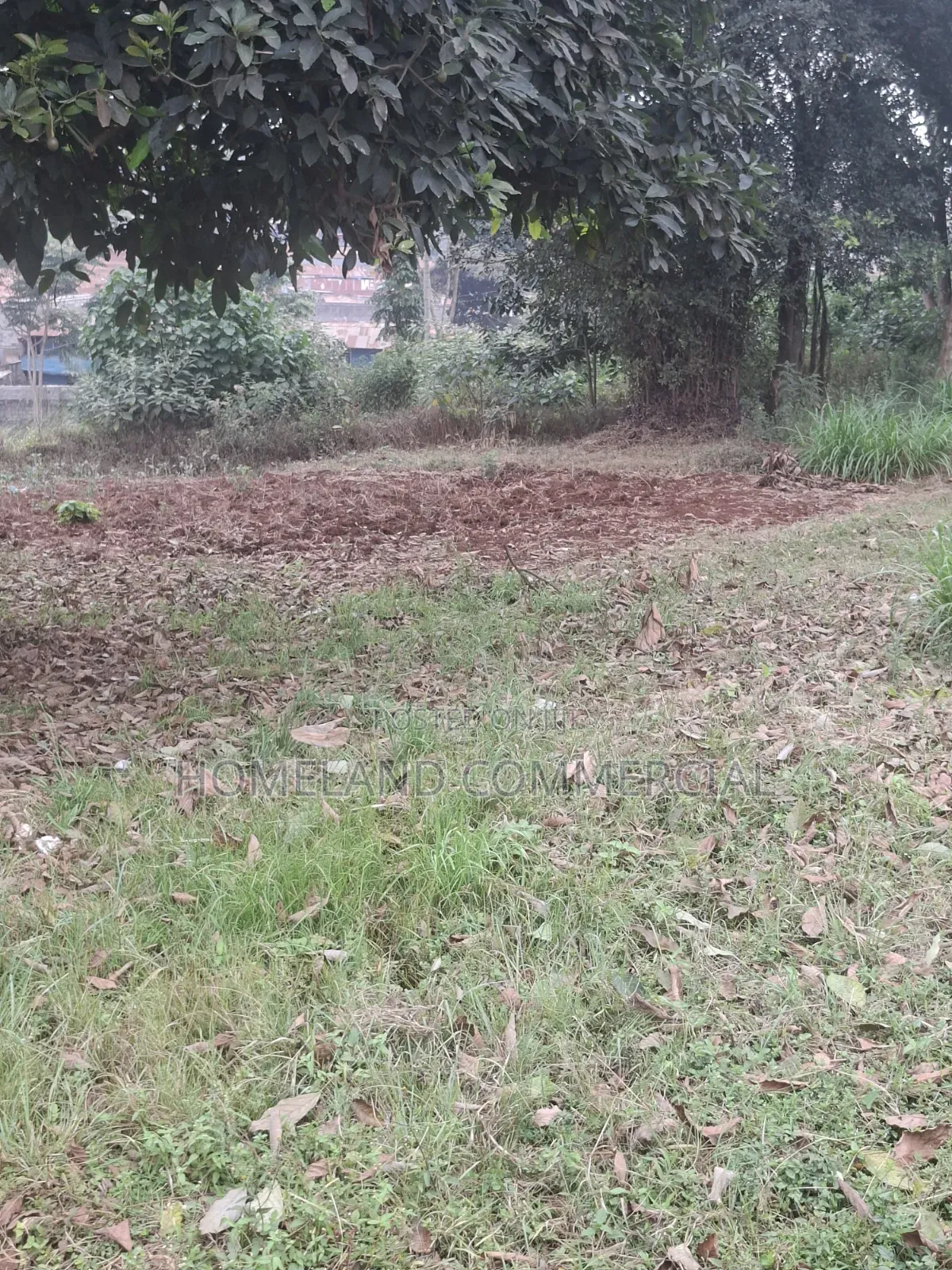 Land for Sale in Kitisuru