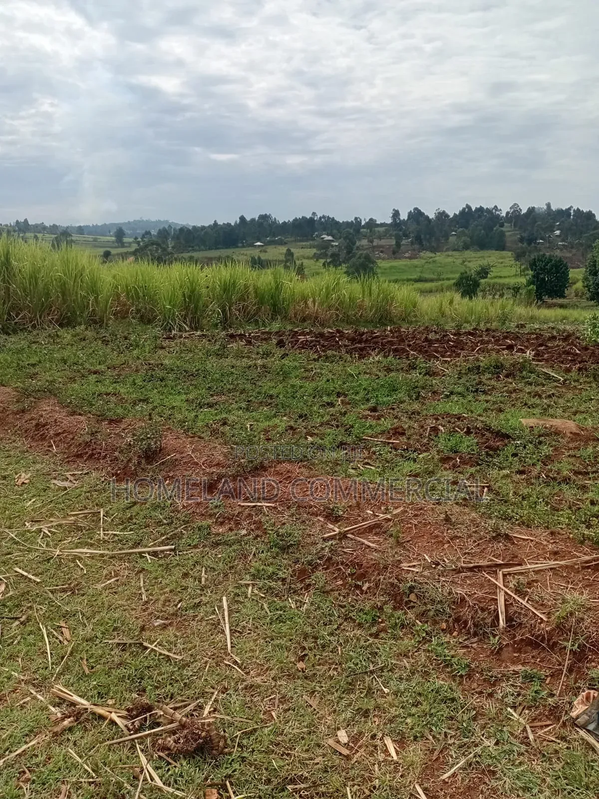 Land for Sale in Kitisuru