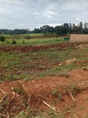 Land for Sale in Kitisuru