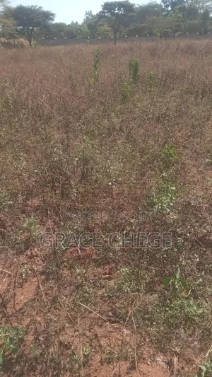 Hyssop Properties Plots and Acres