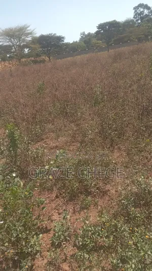 Hyssop Properties Plots and Acres