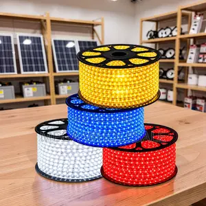 Bright LEDs 50Meter Outdoor Snake Light With Connector