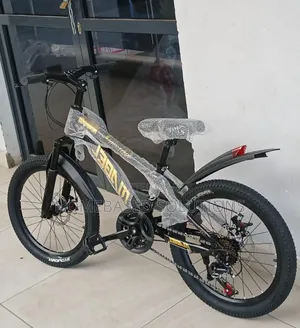 21 Gears Size 20 Bicycle