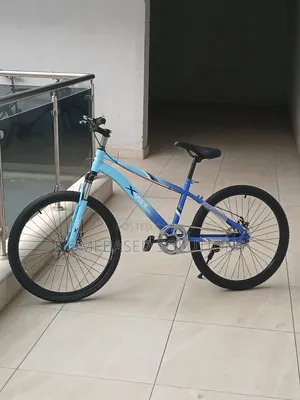 BMX Size 24 Bicycle