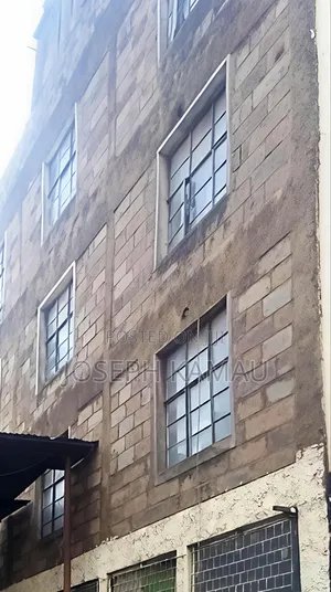 12bdrm Block of Flats in Apollo Eleven, Ngara for sale