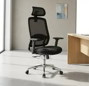Lumbar Support Office Chair : Adjustable Back Support Office Chair