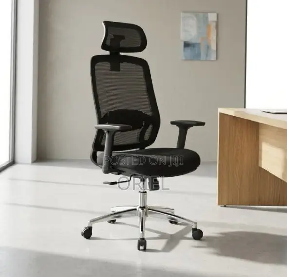Lumbar Support Office Chair : Adjustable Back Support Office Chair