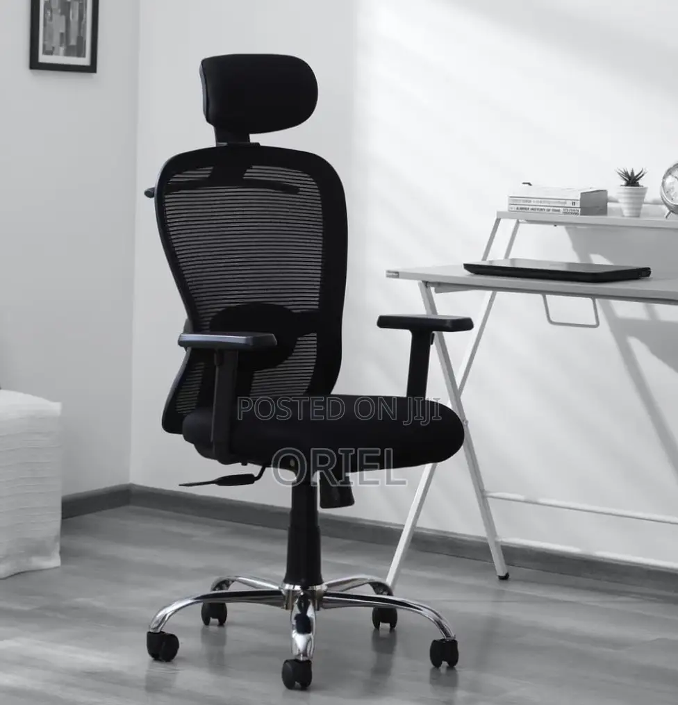 Lumbar Support Office Chair : Adjustable Back Support Office Chair