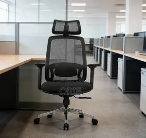 Lumbar Support Office Chair : Adjustable Back Support Office Chair