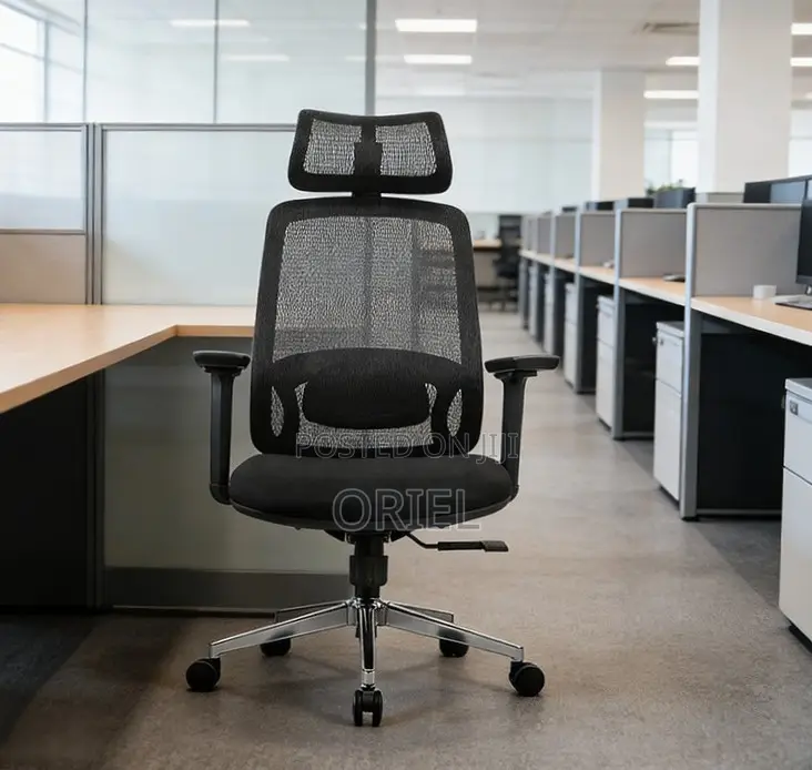 Lumbar Support Office Chair : Adjustable Back Support Office Chair