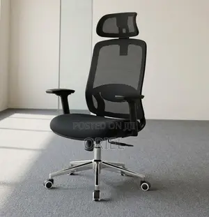 Lumbar Support Office Chair : Adjustable Back Support Office Chair