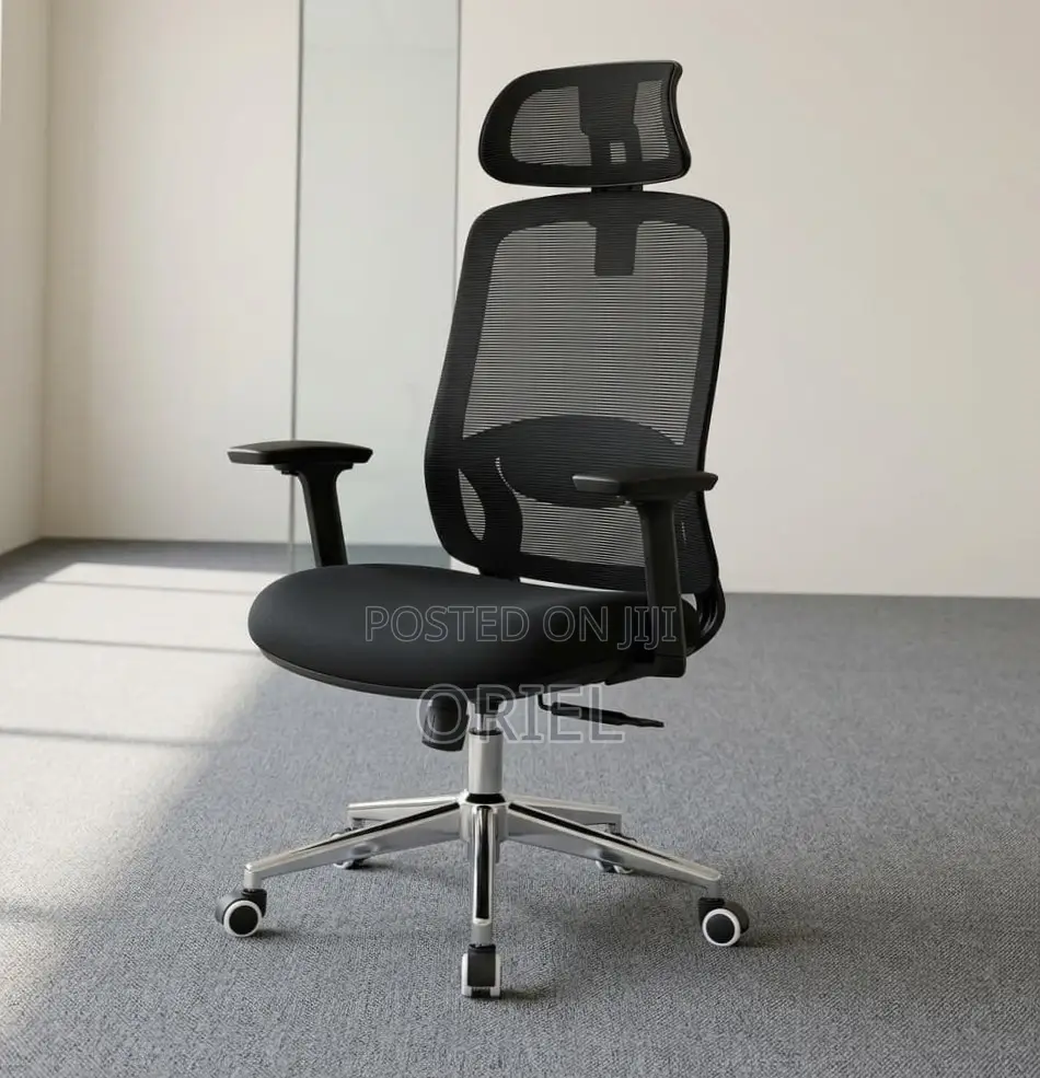 Lumbar Support Office Chair : Adjustable Back Support Office Chair