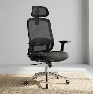 Lumbar Support Office Chair : Adjustable Back Support Office Chair